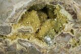 Yellow Crystal Filled Septarian Geode ( lbs) - Utah #135443-3